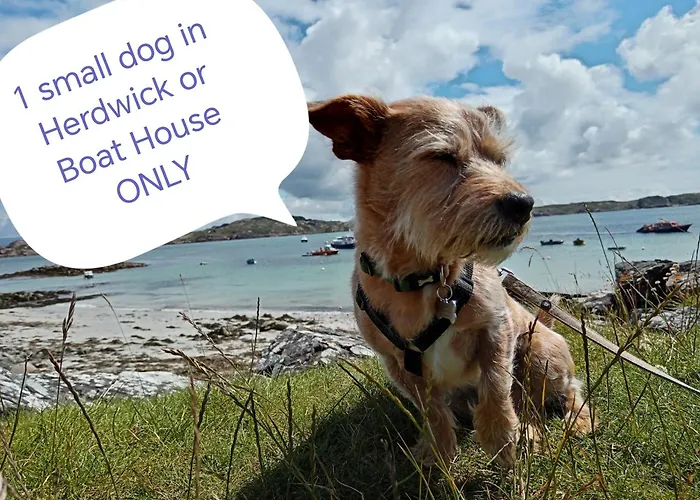 Puddle Duck Lodge (Adults Only)