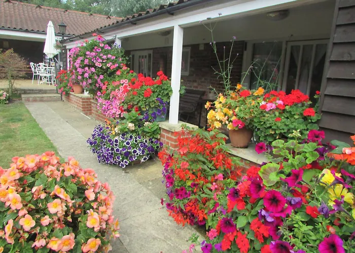 Decoy Barn Fritton Bed & Breakfast, United Kingdom