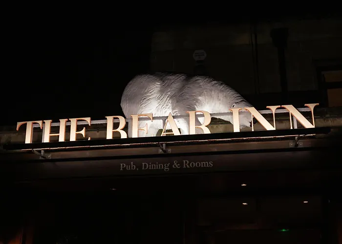 The Bear