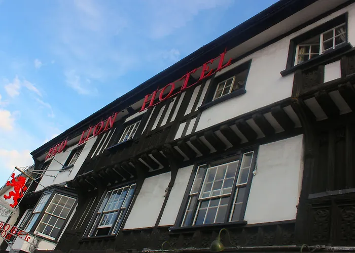 Brook Red Lion