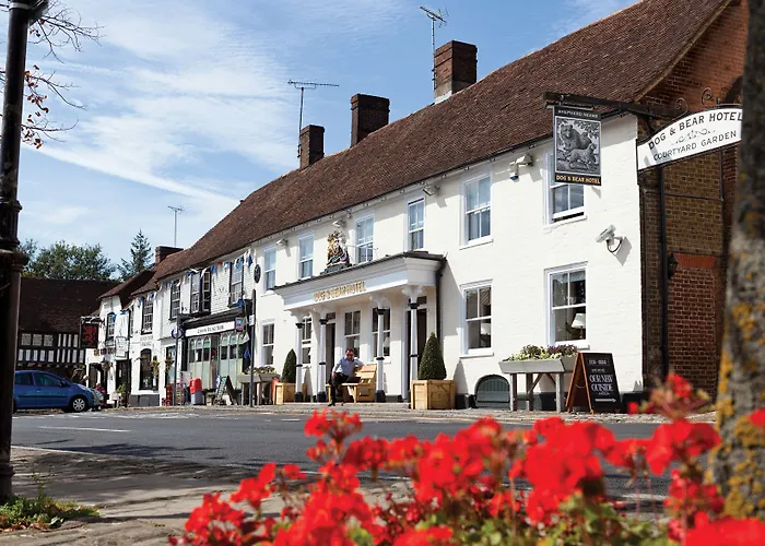 The Dog & Bear Hotel Lenham, Verenigd Koninkrijk
