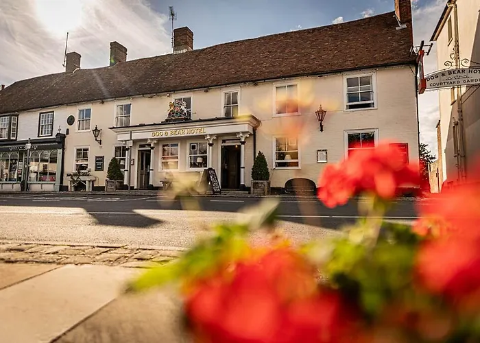 The Dog & Bear Hotel