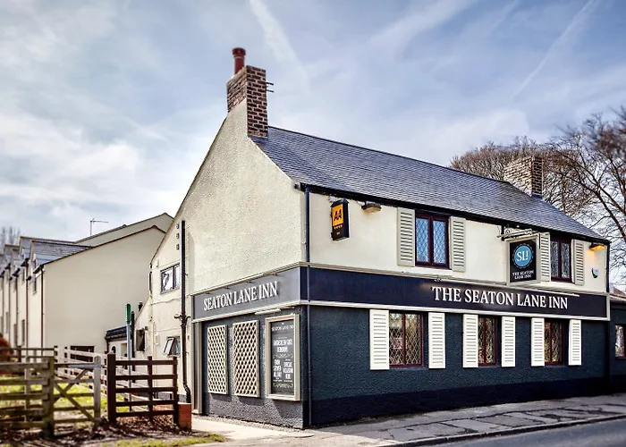 Seaton Lane - The Collection Group