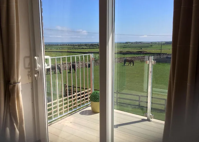 Springwood Room Only Accommodation