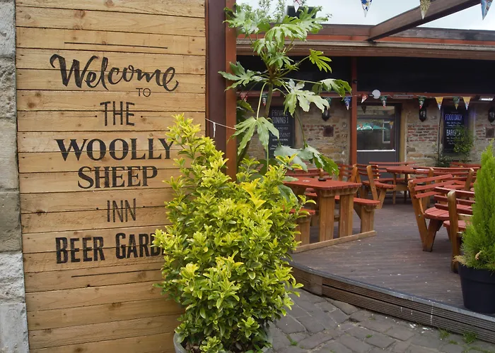 Woolly Sheep