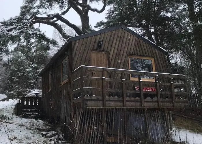Pine Marten Bar Glenmore Treehouse