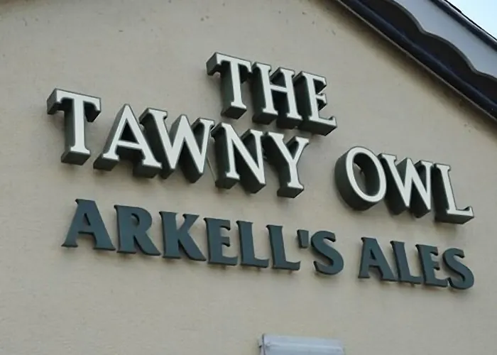 The Tawny Owl