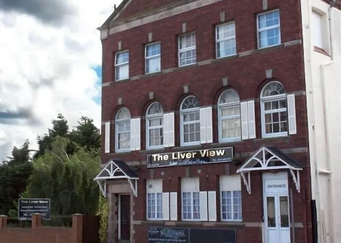 Liver View