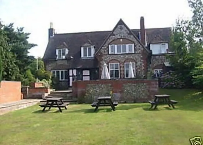 The William IV