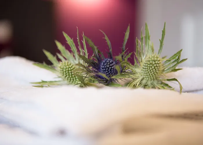 The Spires Serviced Apartments Edinburgh, United Kingdom