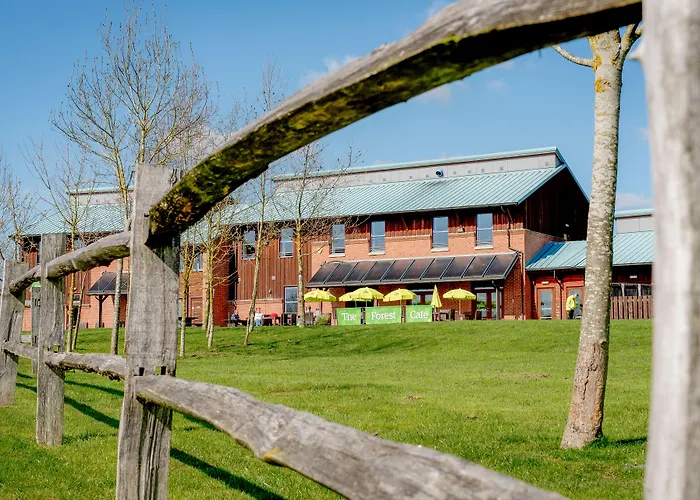 Yha National Forest