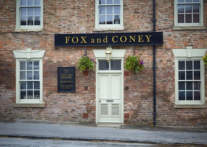 Fox And Coney