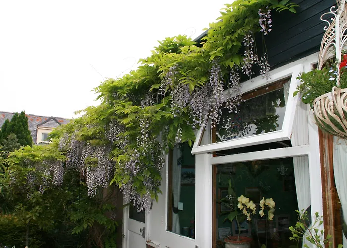 Greenlawns