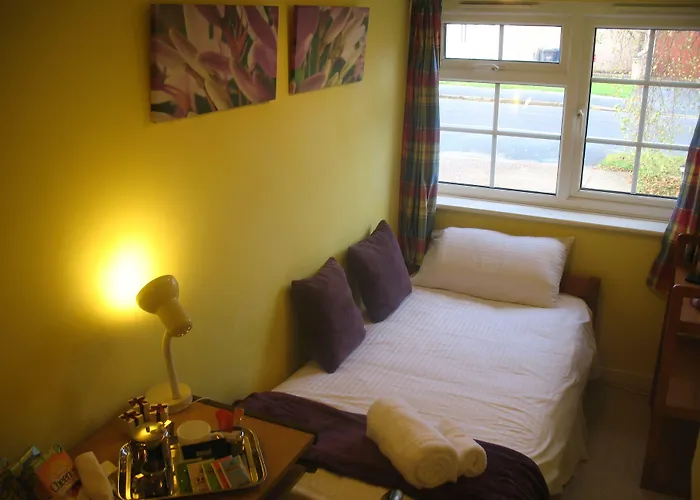 The Holly Tree Bed & Breakfast Cambridge , United Kingdom
