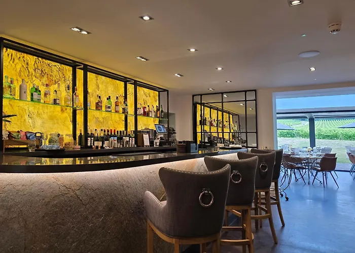 Denbies Vineyard Hotel