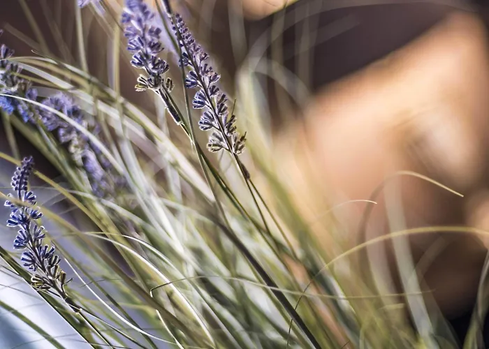N'Ista Boutique Rooms Birkdale - Southport, United Kingdom