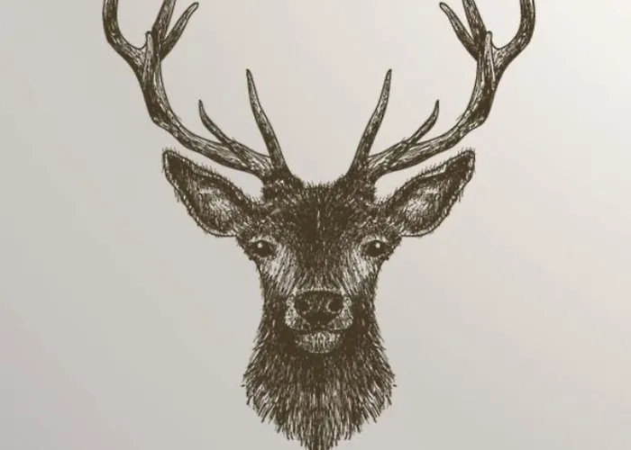 Buck Inn