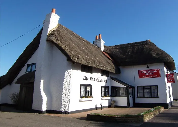 The Old Lamb