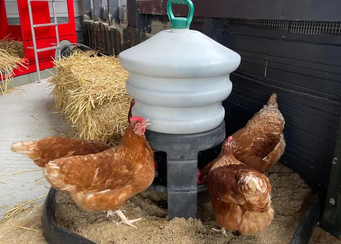 Willow Court Farm Studio East & Petting Farm, 8 Mins To Legoland & Windsor, 15 Mins To Lapland Uk