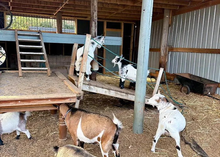 Willow Court Farm Studio East & Petting Farm, 8 Mins To Legoland & Windsor, 15 Mins To Lapland Uk