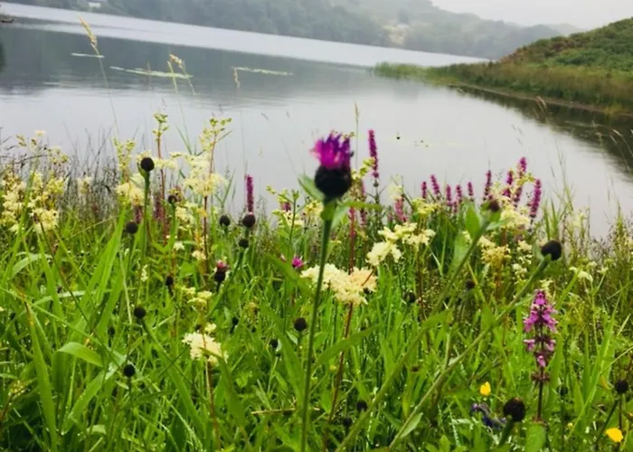 Clan Cottages Luxury Thatched Retreat Near Oban, United Kingdom