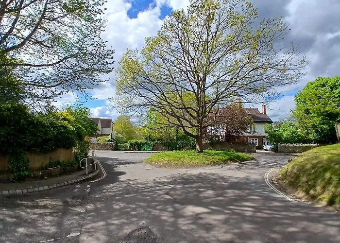 Tree At Iffley