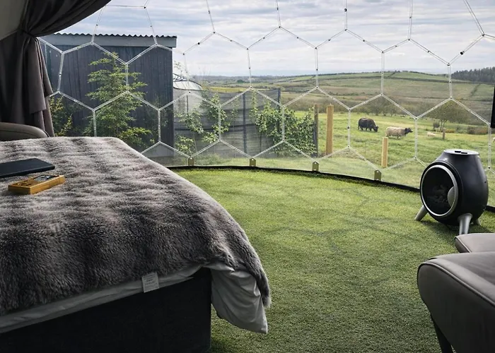 Glamping Domes Hotel Articlave, United Kingdom