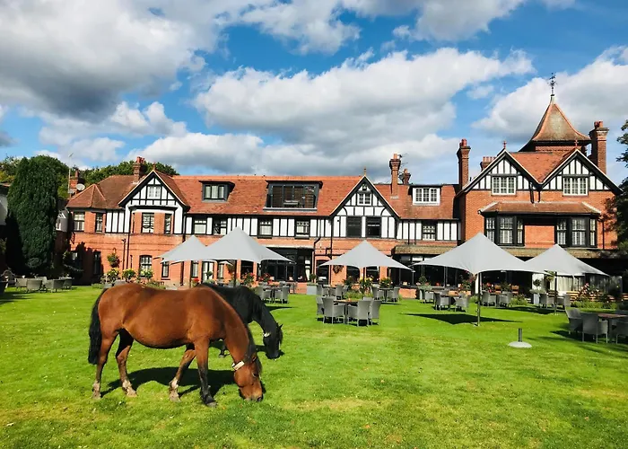 Forest Park Country & Inn, Brockenhurst, New Forest, Hampshire - The Coaching Inn Group