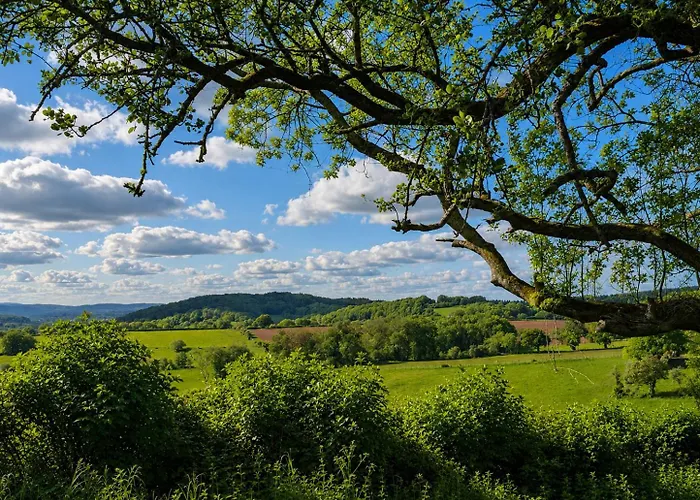Caplor Glamping & Lodges