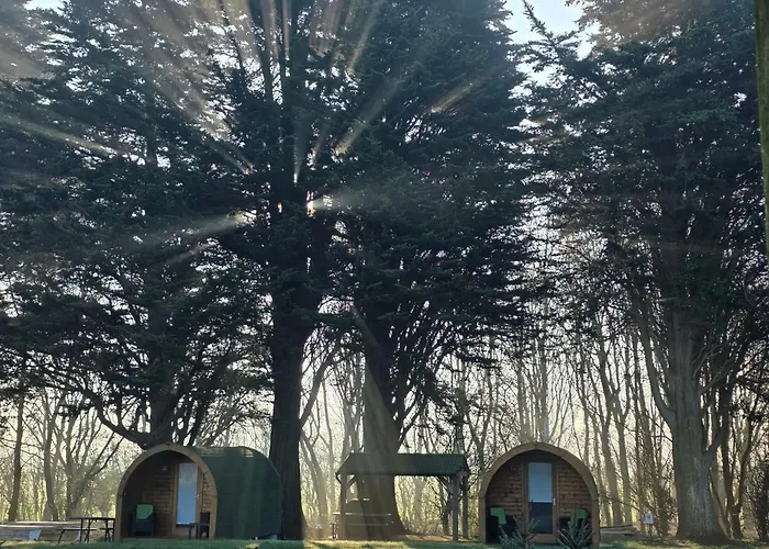 Birdsong Lodge Dog Friendly Nr Sutton On Sea