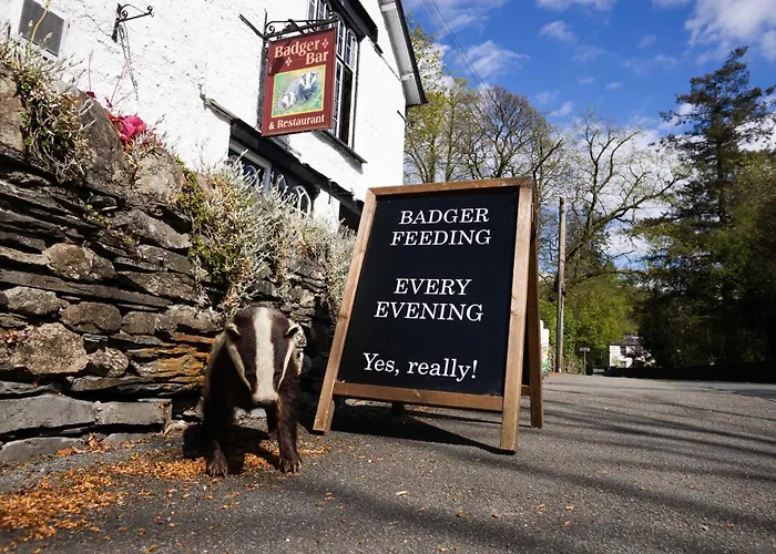 Badger Bar