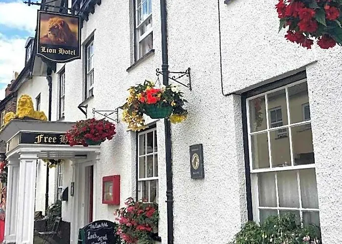 Lion Dulverton