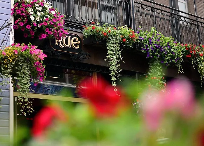 Rue