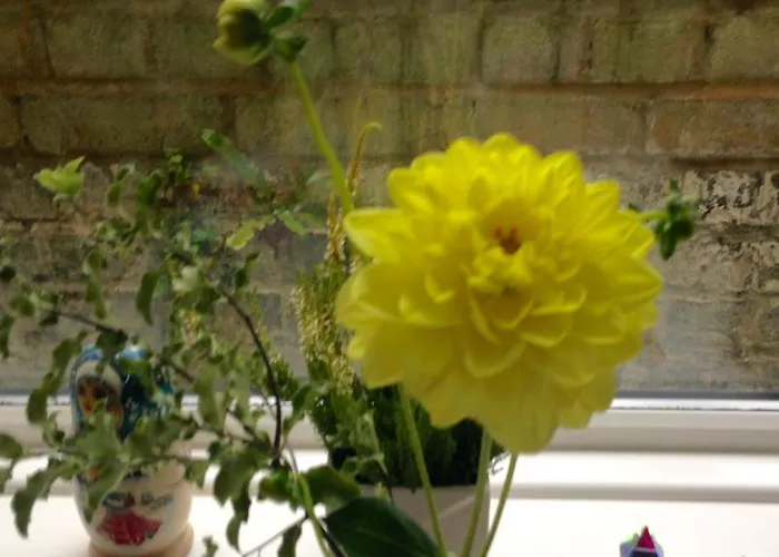 South Lodge Guest House Broadstairs, United Kingdom