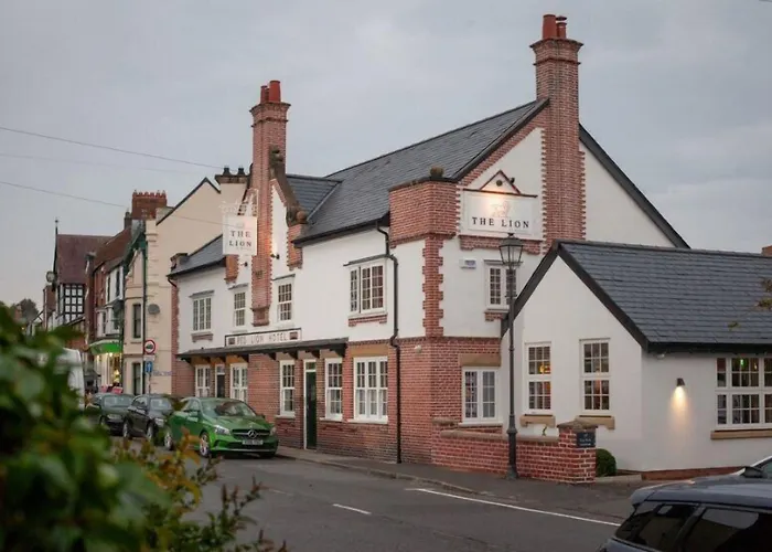 Lion At Malpas