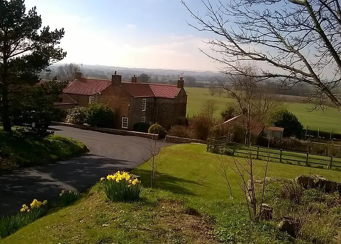 Little Holtby B&B