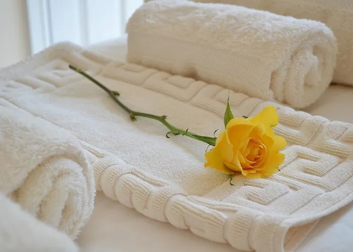 White Rose Guest House