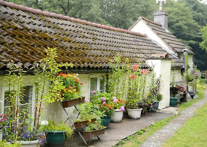 Ladywood House Bed And Breakfast