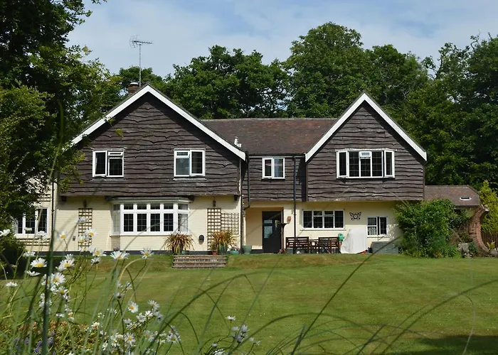 Little Forest Lodge