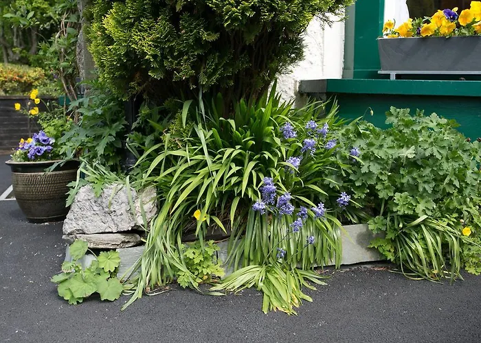 The Haven Bed & Breakfast Windermere, United Kingdom