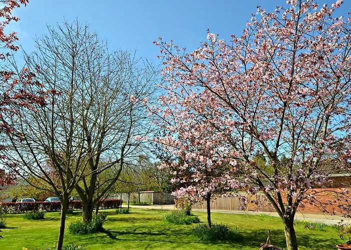 Little Bullocks Farm Bed & Breakfast Takeley, United Kingdom