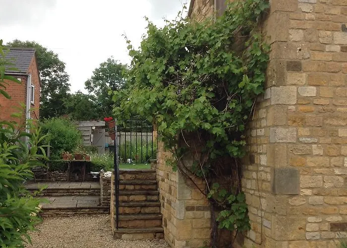 Hops And The Vines