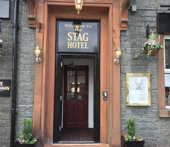 The Stag Hotel