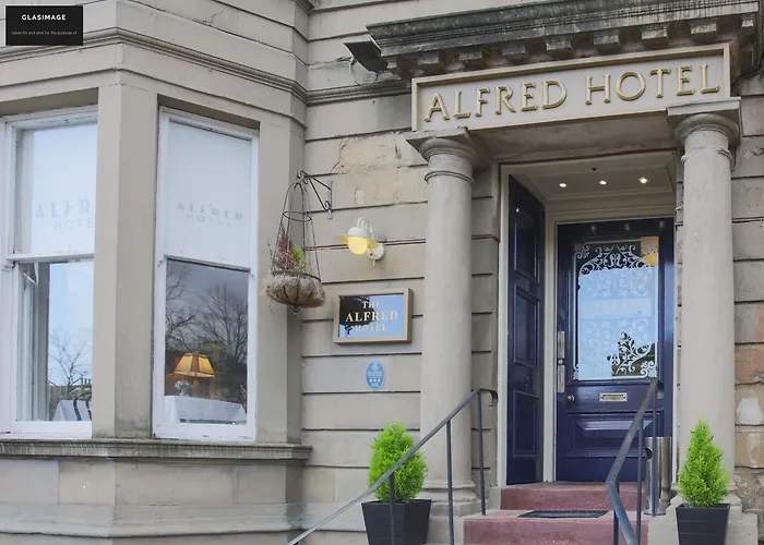 The Alfred