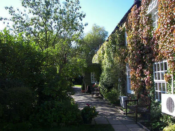 Treebridge