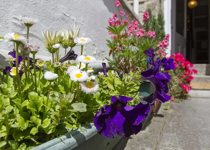 Woodstock Guest House Penzance, United Kingdom