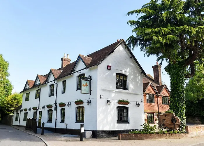 The Village Inn