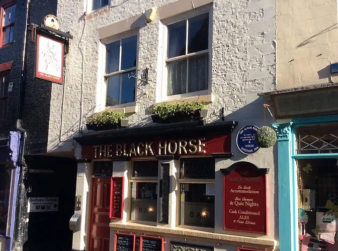 Black Horse