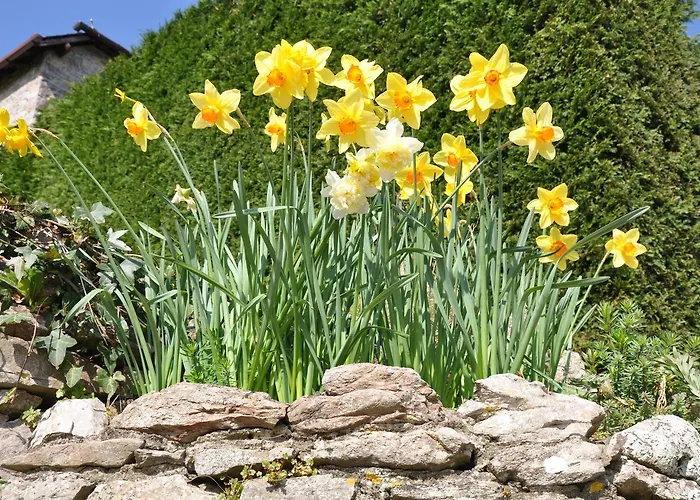 Bulleigh Barton Manor Bed & Breakfast Ipplepen, United Kingdom