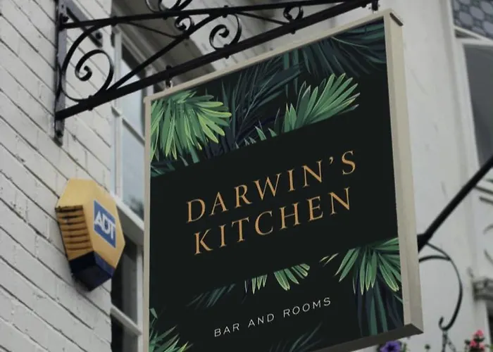 Darwin'S Kitchen